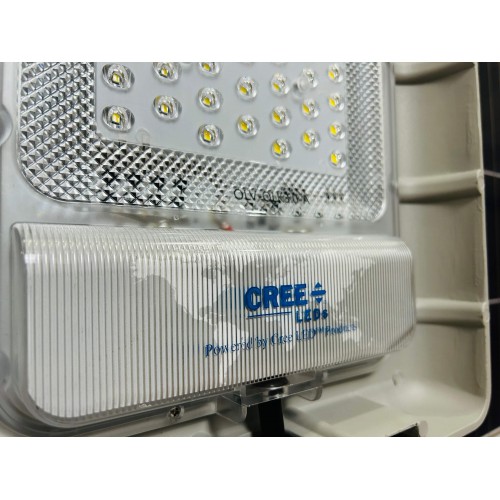 solar-king-light-30-80w-den-nang-luong-mat-troi-euler-2-500x500-1