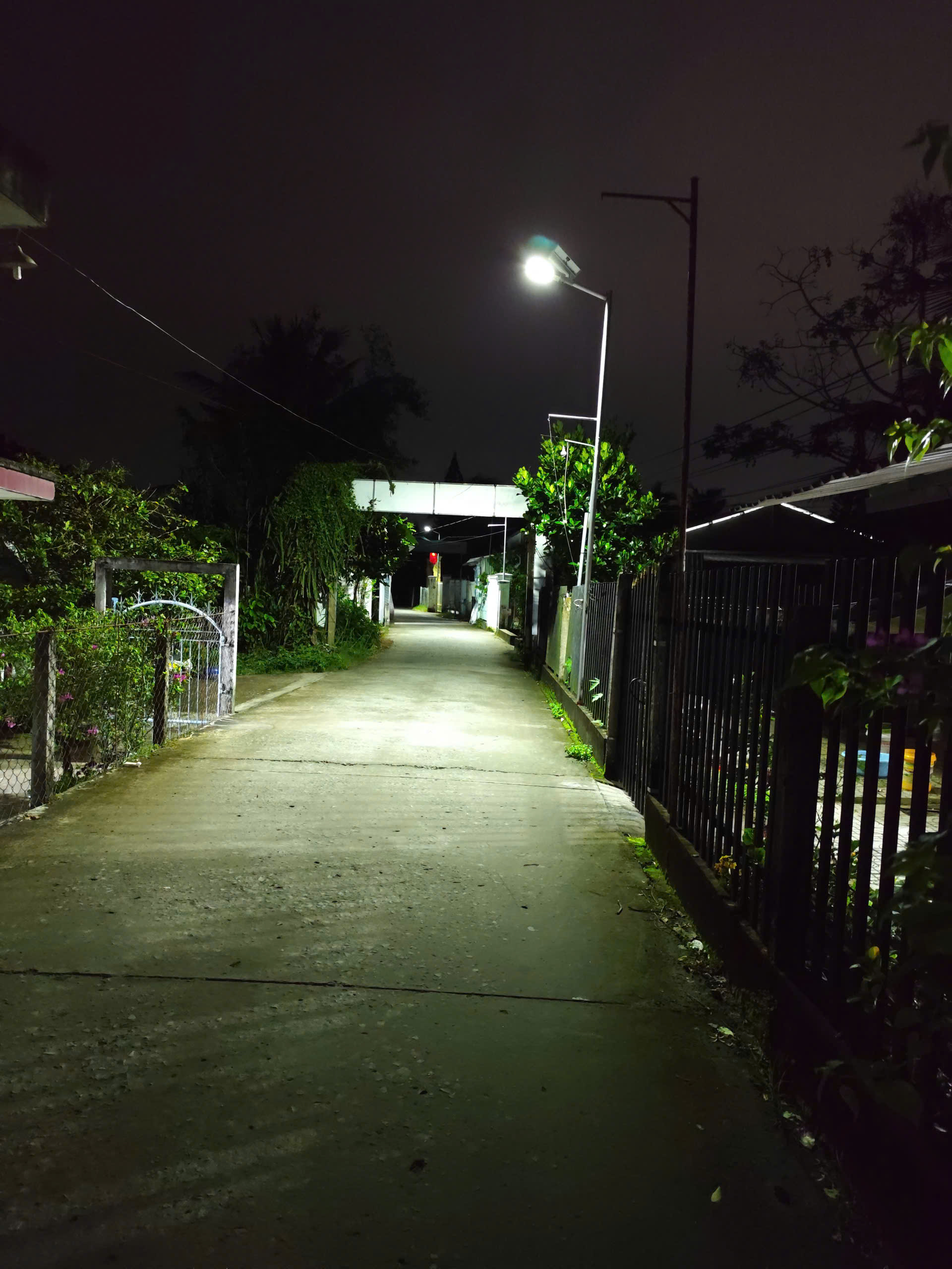 z7265788300797c982a59a0e0fcba85e2445e8b80facad